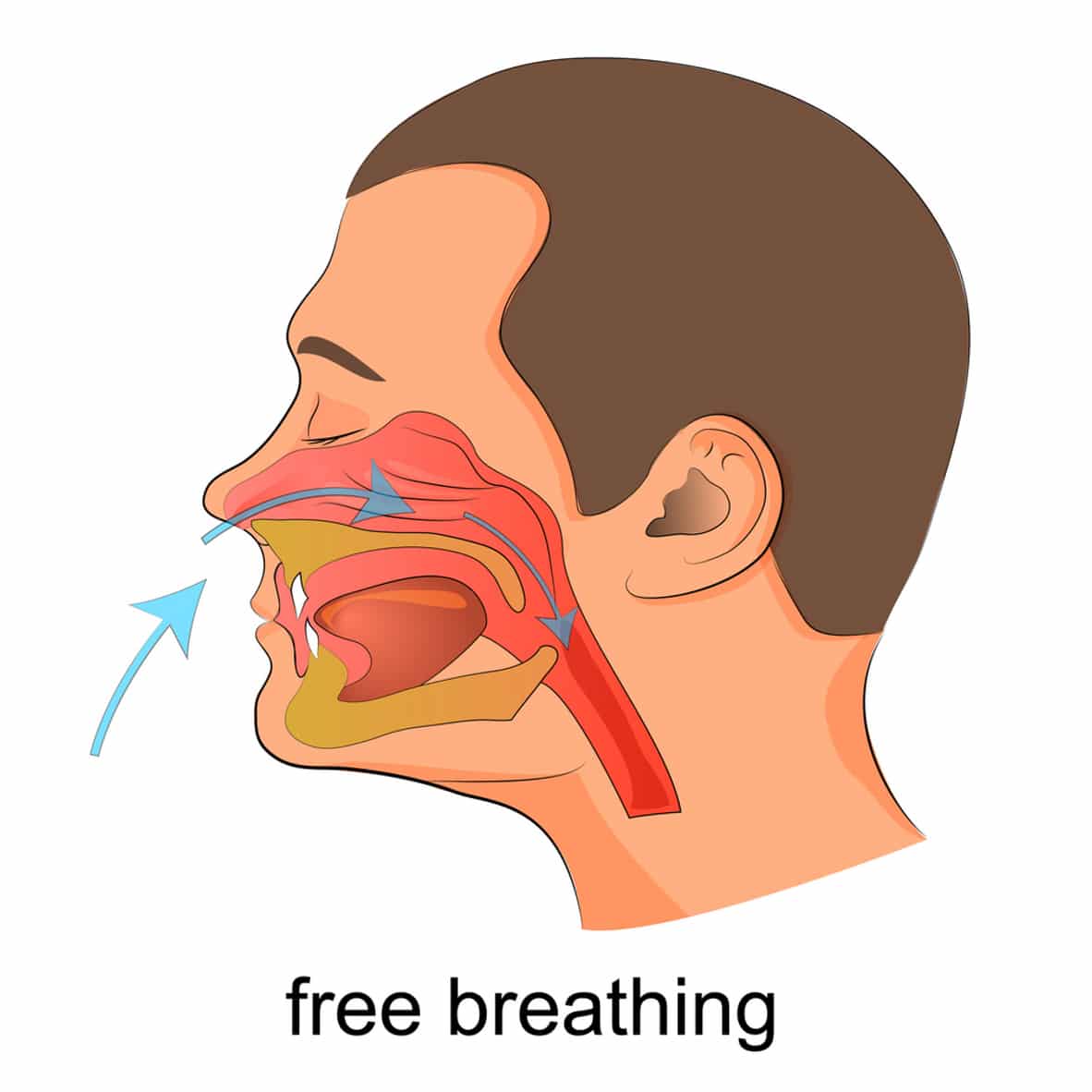 Breathing image photo